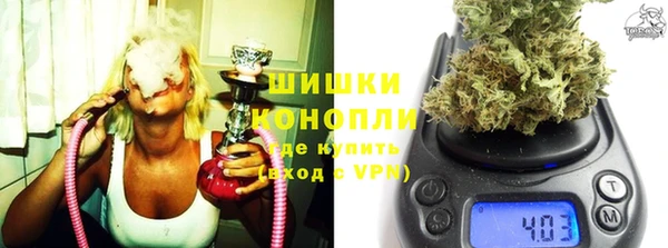 гидра Алексеевка