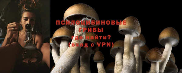 тгк Абинск